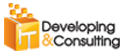 IT Developing & Consulting